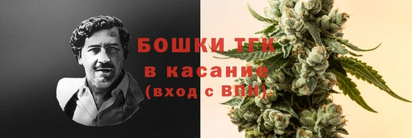 крисы Армянск