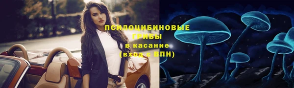 крисы Армянск