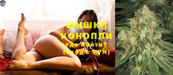 крисы Армянск
